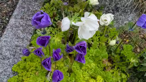 護船観音 妙法禅寺(滋賀県)