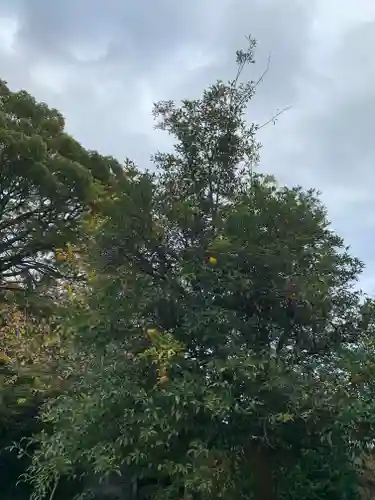 能仁寺(茨城県)