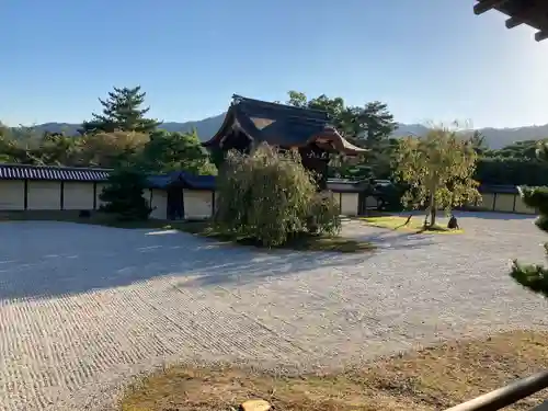 大覚寺の庭園