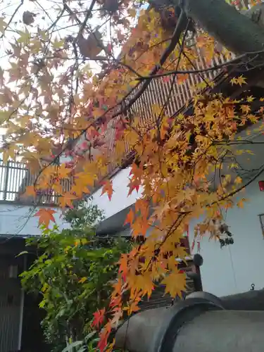 常林寺(宮城県)