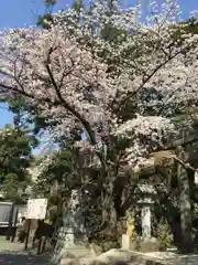 師岡熊野神社の建物その他