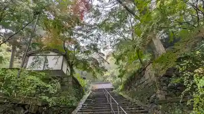 椎尾神社(大阪府)