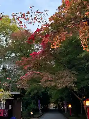 大原野神社(京都府)
