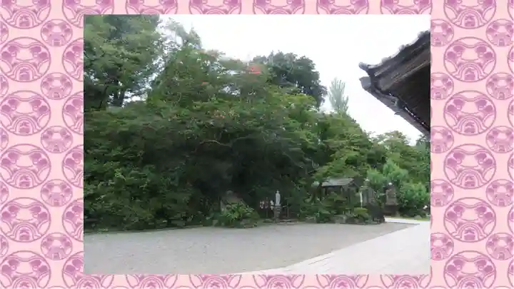 達磨寺(群馬県)