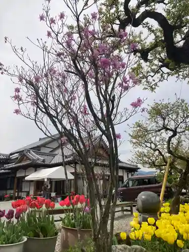 泉蔵寺の庭園