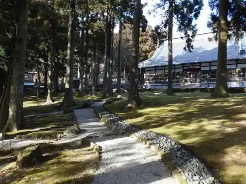 金剛證寺の庭園