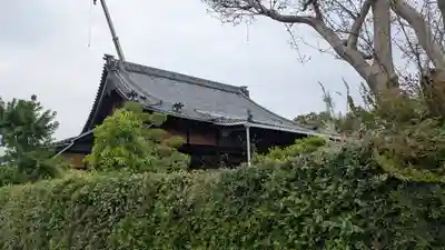 善照寺(京都府)