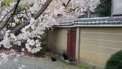 大報恩寺（千本釈迦堂）の動物