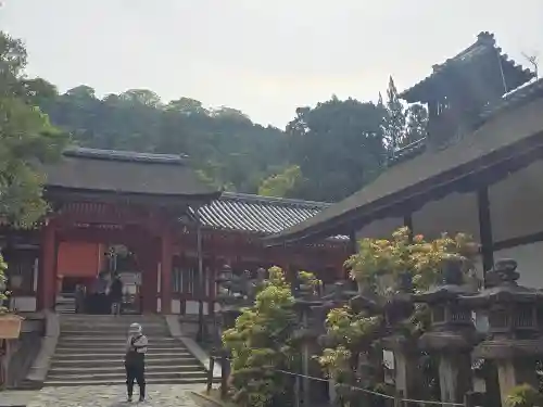 春日大社(奈良県)