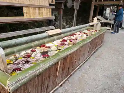 多度大社の手水舎