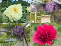 金蛇水神社(宮城県)