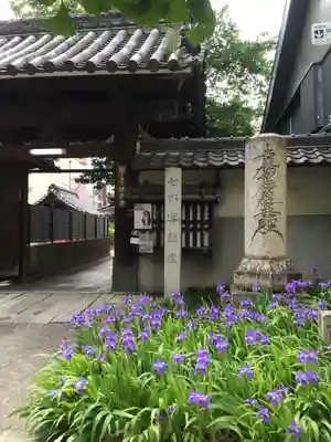 妙善寺の山門・神門