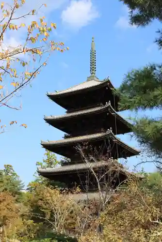 仁和寺の塔