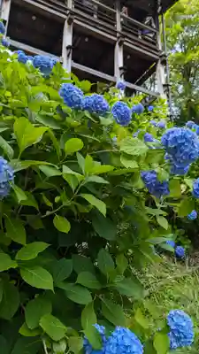 善峯寺(京都府)