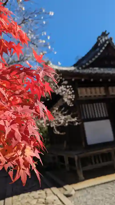 赤山禅院(京都府)