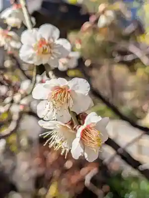 成子天神社(東京都)