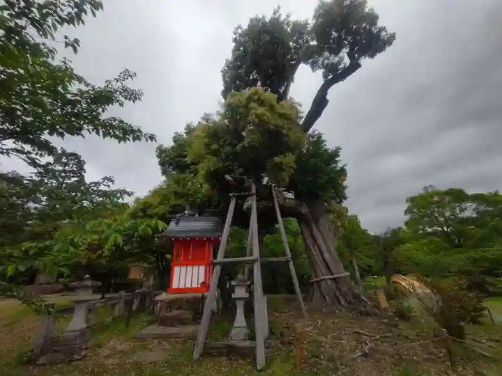 大覚寺(京都府)