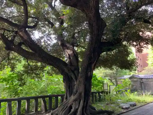 湯島聖堂(東京都)