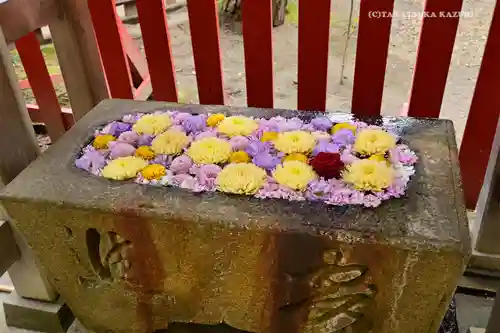 白山神社の手水舎
