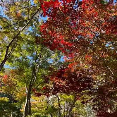 神峯山寺(大阪府)