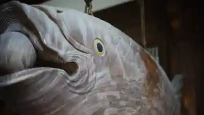 萬福寺(京都府)