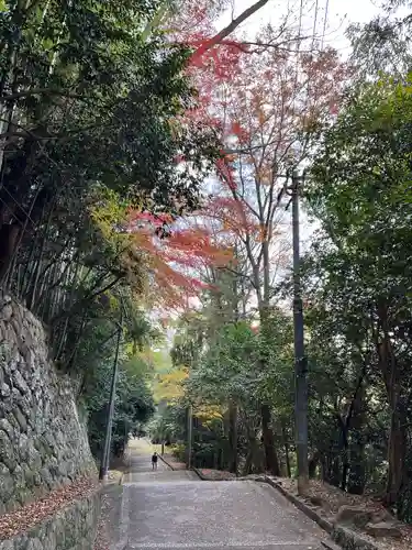 石清水八幡宮の建物その他