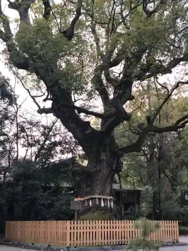 熱田神宮の自然