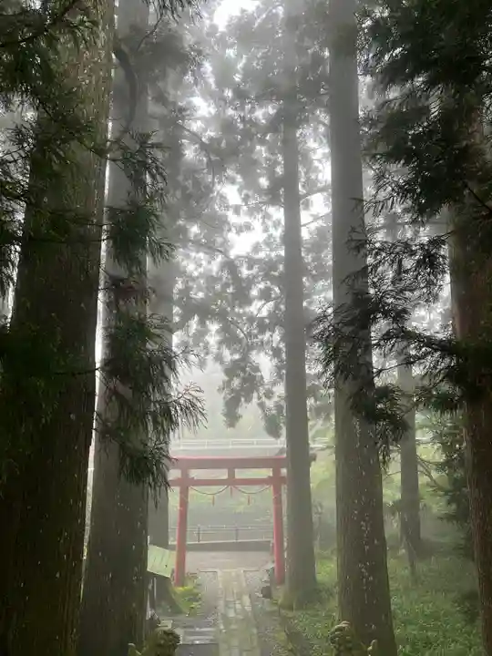 須山浅間神社(静岡県)