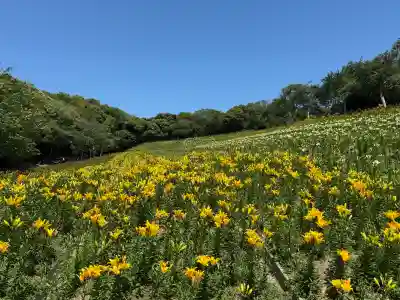 秋葉總本殿可睡斎(静岡県)