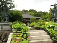 光明寺の本殿・本堂