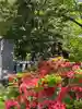 彌彦神社 (伊夜日子神社)の自然