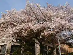 常徳寺の自然