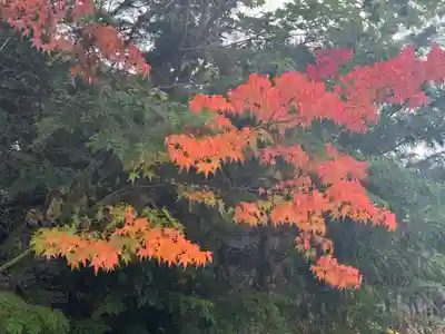 淺間神社（忍野八海）(山梨県)