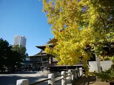 葛飾八幡宮(千葉県)