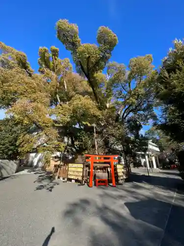 富知六所浅間神社の自然