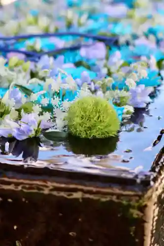 箭弓稲荷神社の{uncategorized: "未分類", other: "その他", undefined: "問題あり", building: "その他建物", grave: "お墓", sacred_gate: "鳥居", guardian: "狛犬", statue: "像", buddha: "仏像", history: "歴史", nature: "自然", garden: "庭園", animal: "動物", pagoda: "塔", temizu: "手水舎", mountain_gate: "山門・神門", sanctuary: "本殿・本堂", subordinate: "末社・摂社", art: "芸術", scenery: "景色", jizo: "地蔵", ema: "絵馬", goshuin: "御朱印", omikuji: "おみくじ", items: "授与品その他", amulet: "お守り", goshuincho: "御朱印帳", eats: "食事", festival: "お祭り", votive_dance: "神楽", shichigosan: "七五三参", wedding: "結婚式", experience: "体験その他", initially: "初詣", around: "周辺", anti_infection: "感染症対策"}