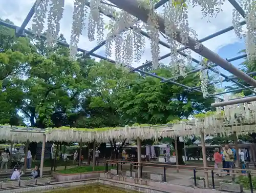 曼陀羅寺(愛知県)
