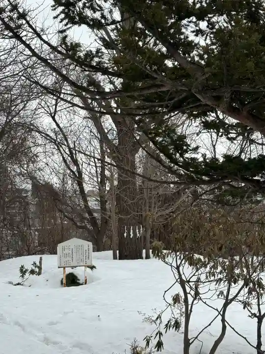 上手稲神社の{uncategorized: "未分類", other: "その他", undefined: "問題あり", building: "その他建物", grave: "お墓", sacred_gate: "鳥居", guardian: "狛犬", statue: "像", buddha: "仏像", history: "歴史", nature: "自然", garden: "庭園", animal: "動物", pagoda: "塔", temizu: "手水舎", mountain_gate: "山門・神門", sanctuary: "本殿・本堂", subordinate: "末社・摂社", art: "芸術", scenery: "景色", jizo: "地蔵", ema: "絵馬", goshuin: "御朱印", omikuji: "おみくじ", items: "授与品その他", amulet: "お守り", goshuincho: "御朱印帳", eats: "食事", festival: "お祭り", votive_dance: "神楽", shichigosan: "七五三参", wedding: "結婚式", experience: "体験その他", initially: "初詣", around: "周辺", anti_infection: "感染症対策"}
