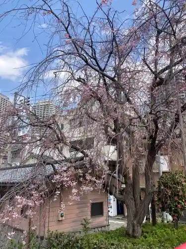 於咲稲荷神社・波除（浪除）稲荷神社(東京都)