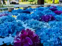 土津神社|こどもと出世の神さま(福島県)