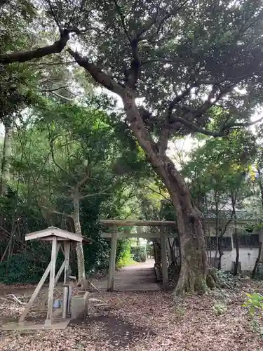 子安神社(千葉県)