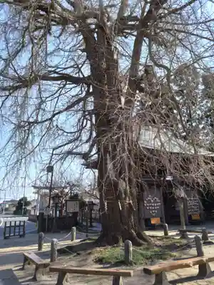 今宮神社(栃木県)