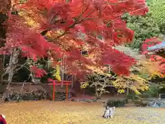 洞光寺(兵庫県)