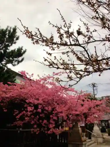 新宿下落合氷川神社(東京都)