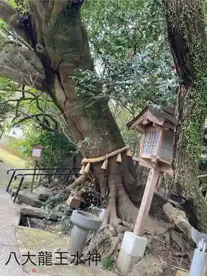 八大龍王水神(宮崎県)