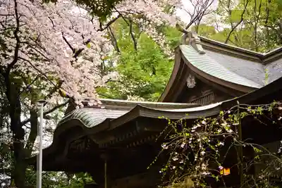座間神社(神奈川県)