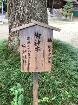 神明社(桜神明社)の芸術