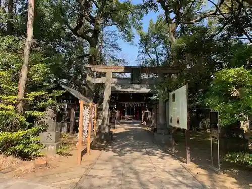 赤坂氷川神社の鳥居
