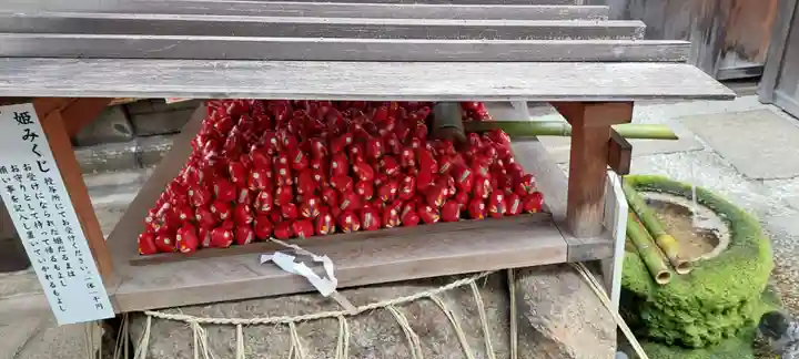 市比賣神社(京都府)