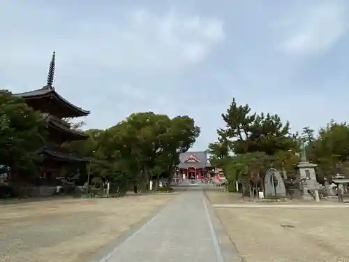 甚目寺の本殿・本堂